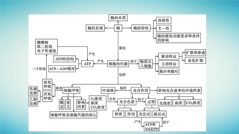 广西专版2023_2024学年新教材高中生物第3章细胞的代谢章末核心素养整合课件浙科版必修104