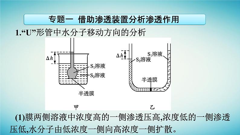 广西专版2023_2024学年新教材高中生物第3章细胞的代谢章末核心素养整合课件浙科版必修106