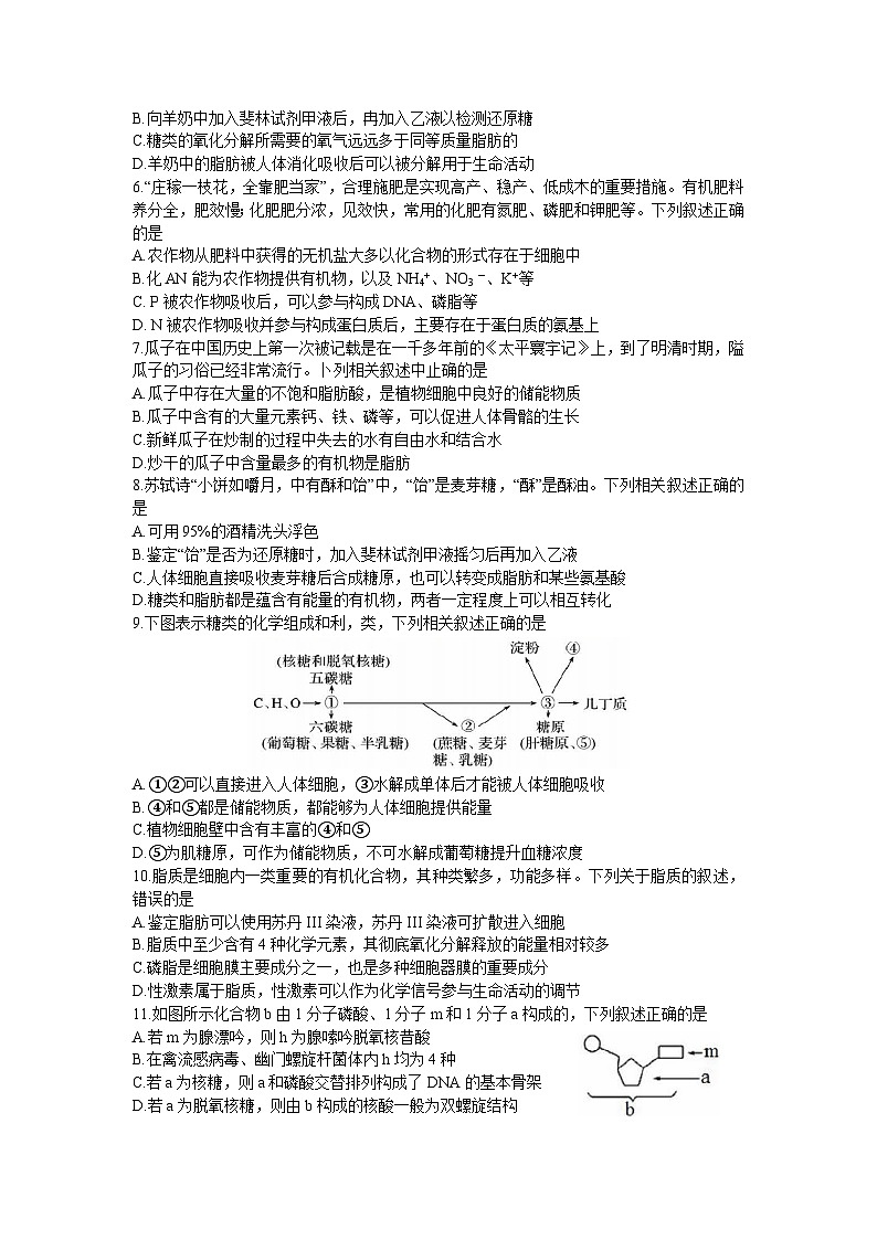 吉林省实验中学2023-2024学年高一上学期期中考试生物试题第2页