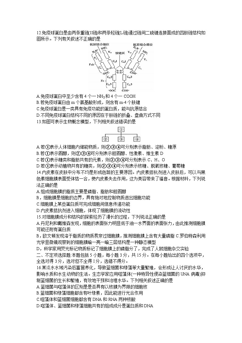 吉林省实验中学2023-2024学年高一上学期期中考试生物试题第3页