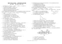 四川省成都市树德中学2023-2024学年高一上学期11月期中生物试题