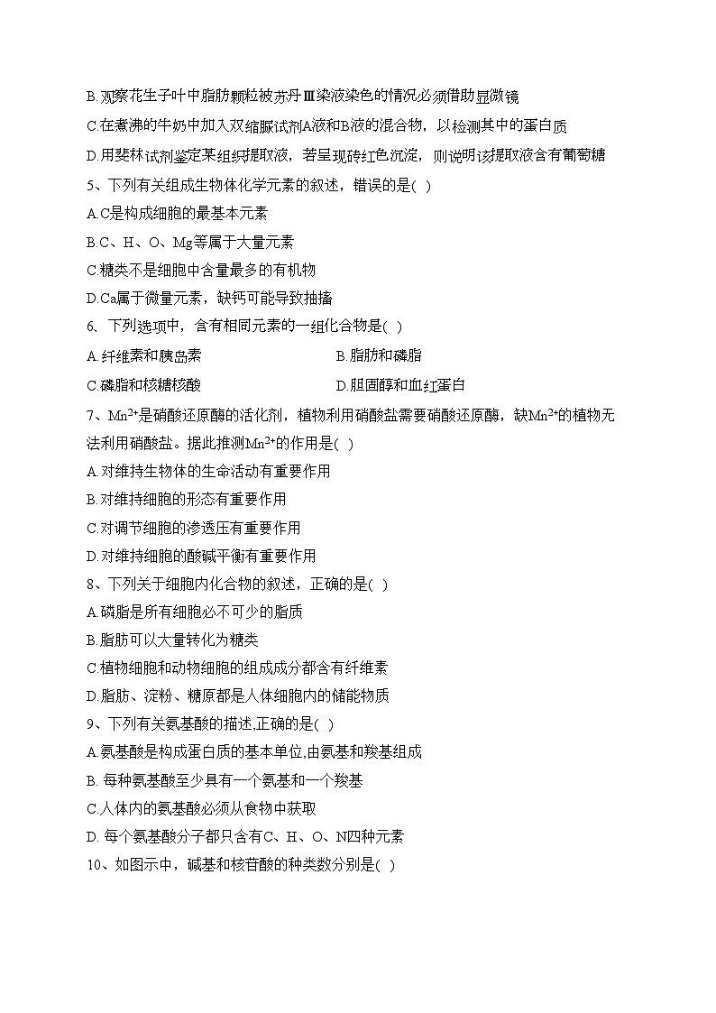 辽宁省鞍山市普通高中2022-2023学年高一上学期期中测试（A卷）生物试卷(含答案)02