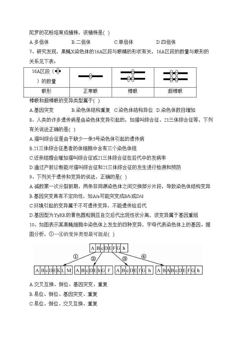 重庆市重点中学2023-2024学年高二上期10月月考生物试卷(含答案)02