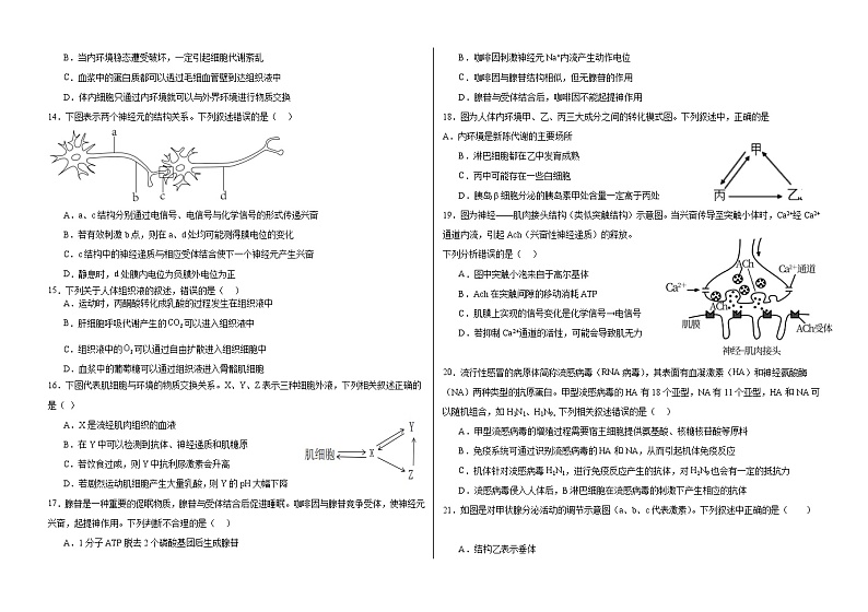 黑龙江省肇东市第四中学2023-2024学年高二上学期期中考试生物试题第2页