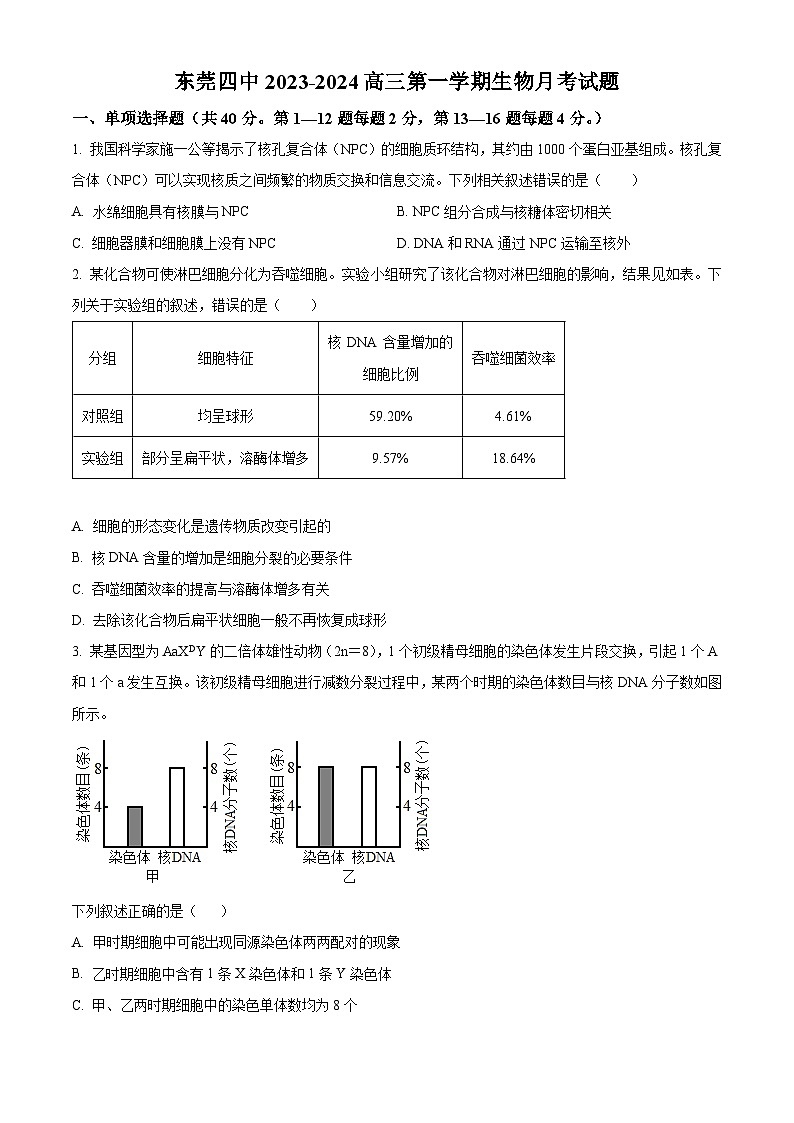 广东省东莞市第四中学2023-2024学年高三上学期10月月考生物第1页