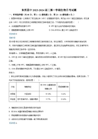 2024东莞四中高三上学期10月月考试题生物含解析