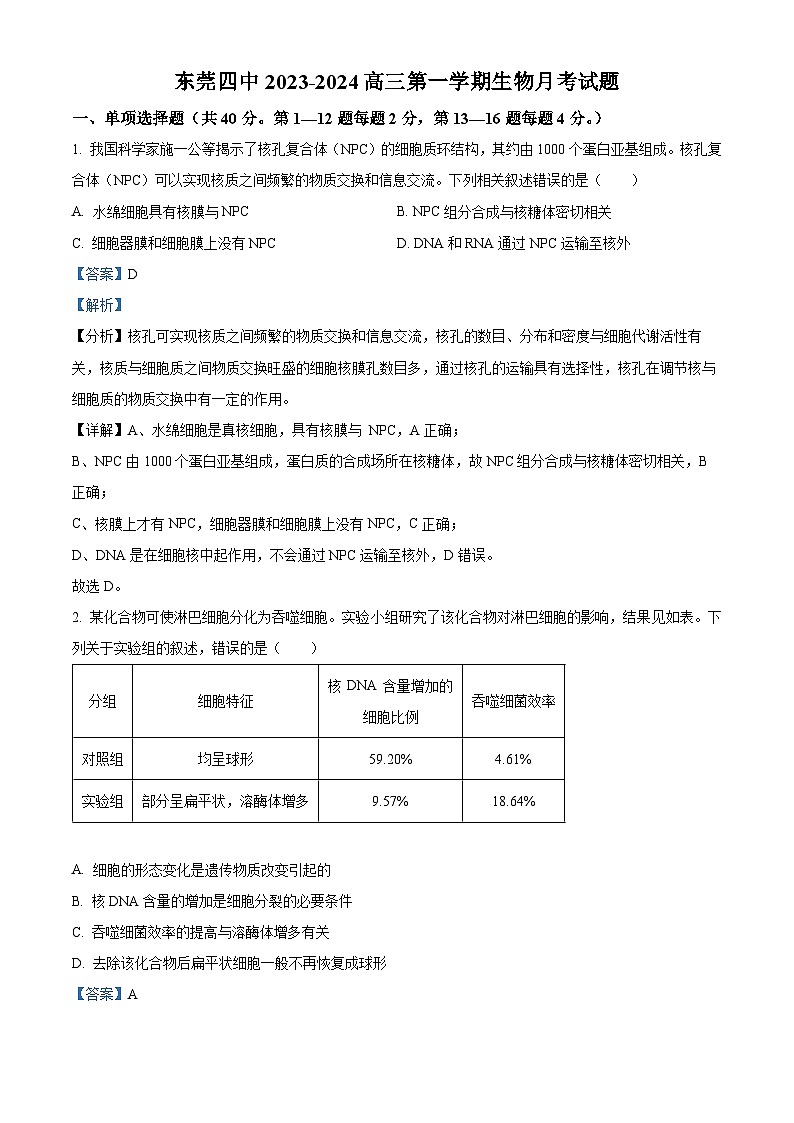 广东省东莞市第四中学2023-2024学年高三上学期10月月考生物答案第1页