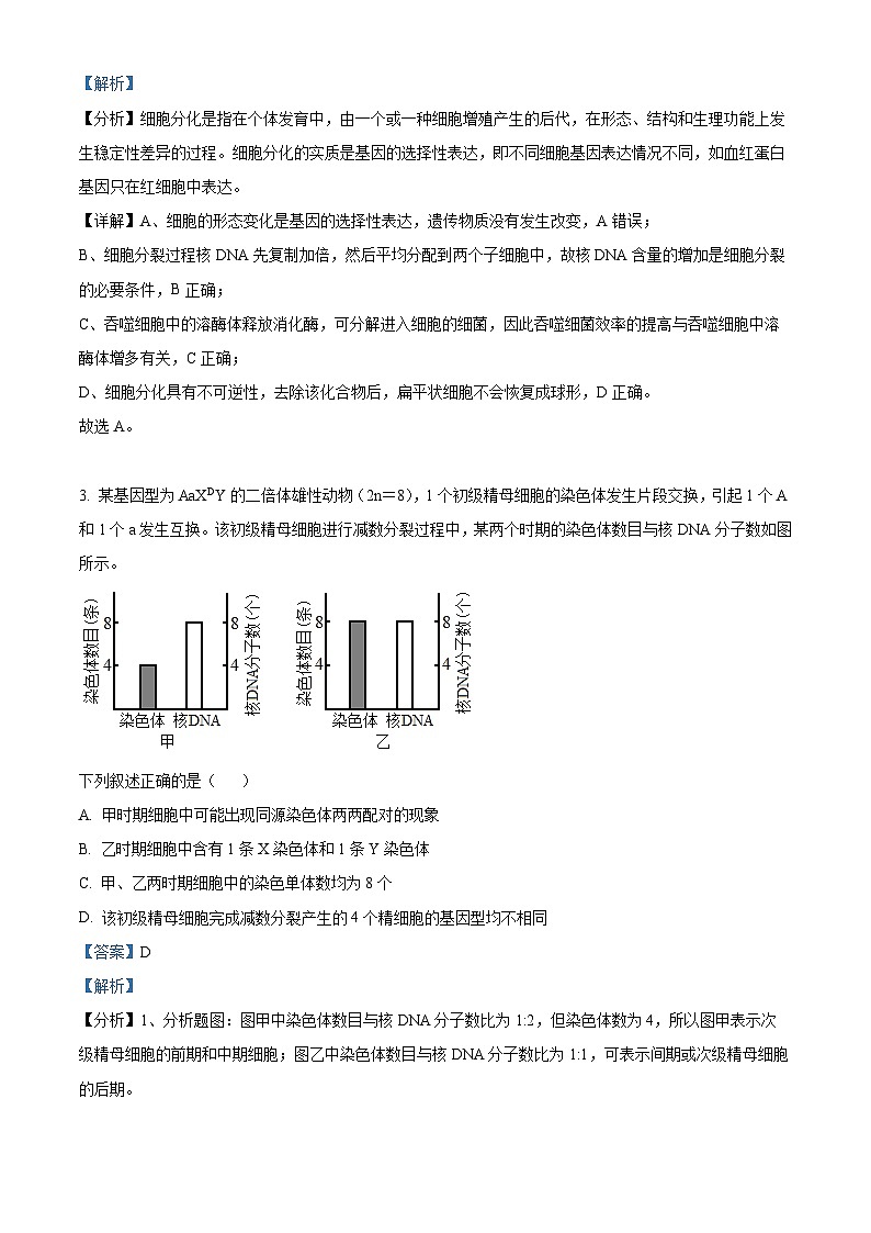广东省东莞市第四中学2023-2024学年高三上学期10月月考生物答案第2页