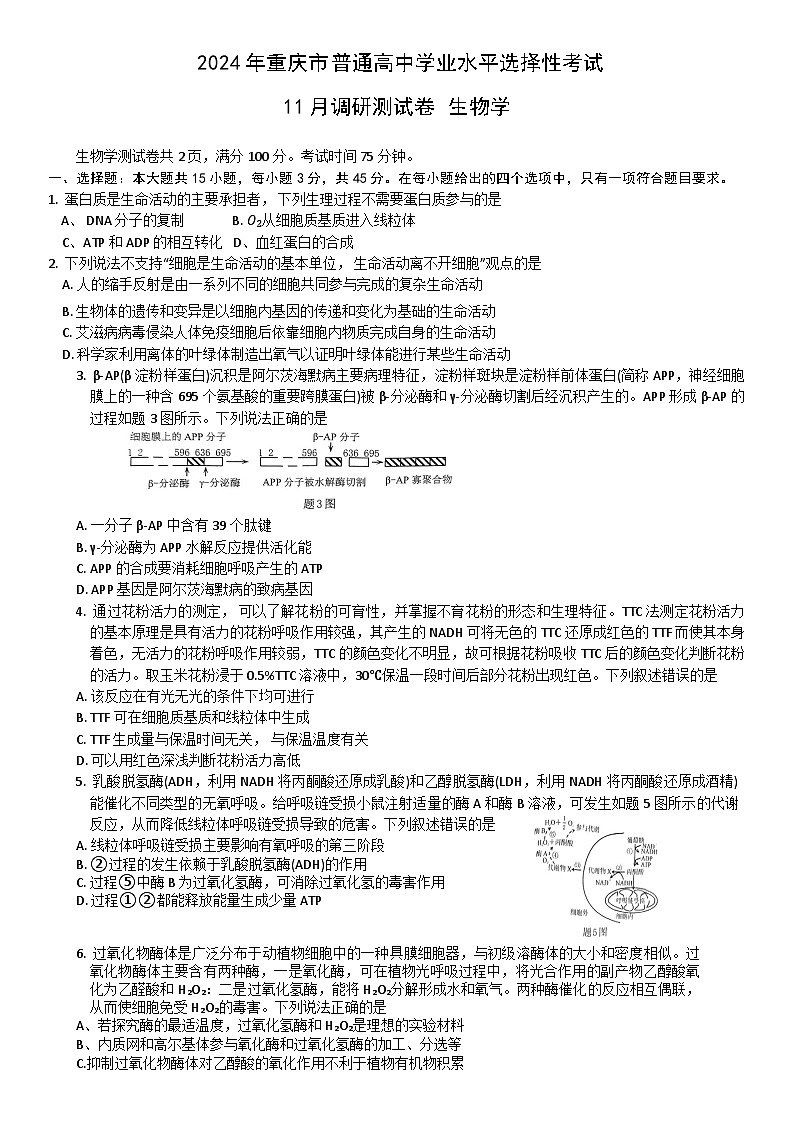 2024重庆市高三上学期11月调研测试生物含解析01