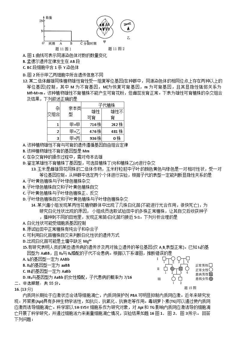 2024重庆市高三上学期11月调研测试生物含解析03