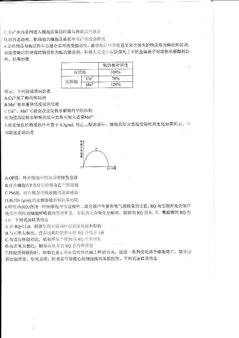 2024山东省高三上学期适应性联考（一）生物PDF版含答案第2页