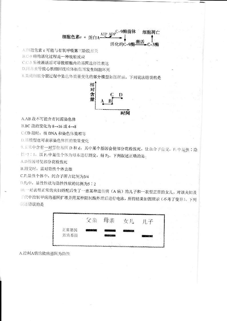 2024山东省高三上学期适应性联考（一）生物PDF版含答案第3页
