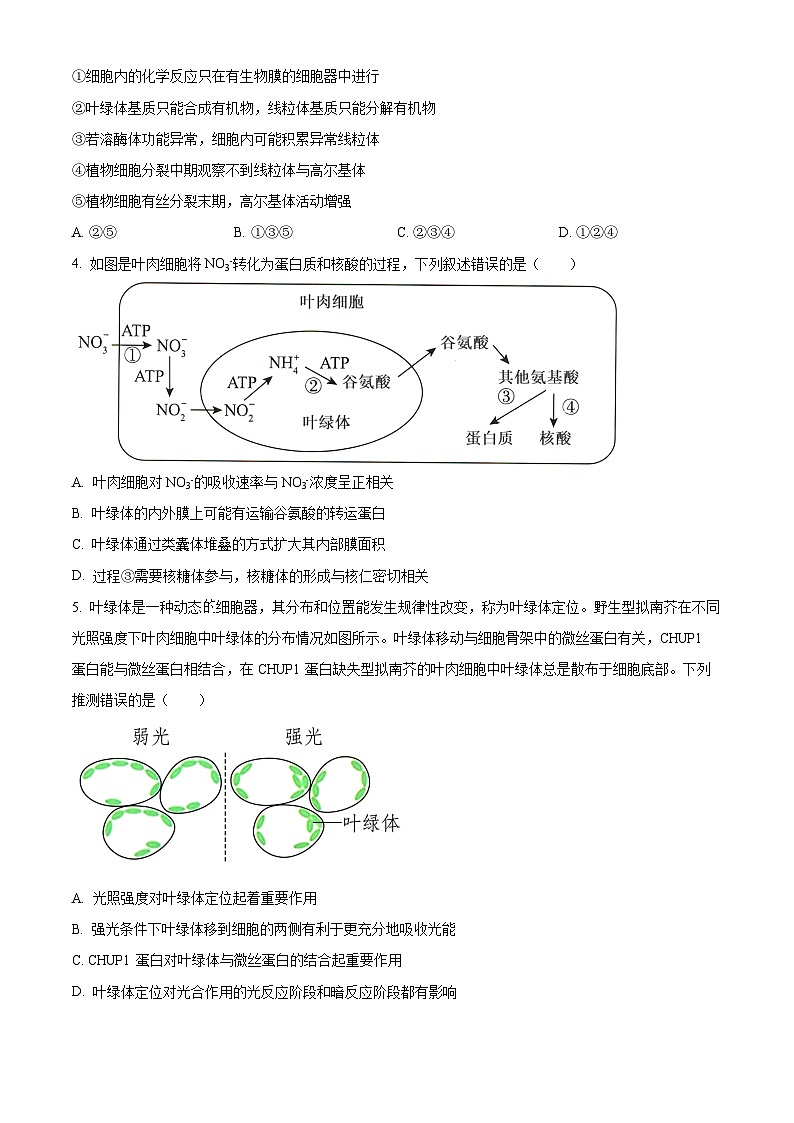 2024赤峰高三上学期10月联考试题生物含答案第2页