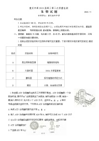 2024重庆市南开中学高三上学期11月月考试题生物含解析