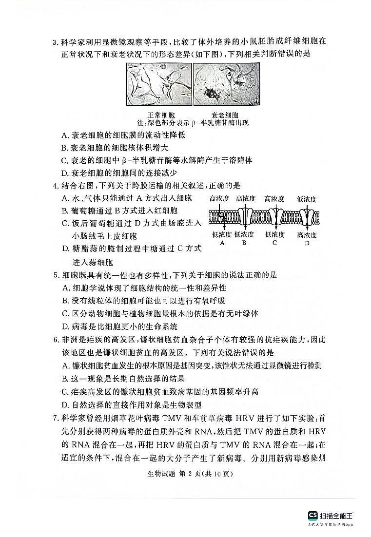 2024河南省湘豫名校联考高三上学期11月一轮复习诊断检测（二）生物PDF版含答案02