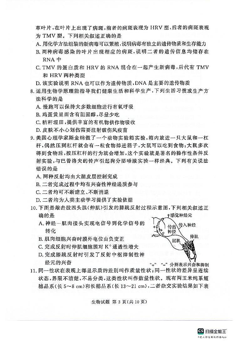2024河南省湘豫名校联考高三上学期11月一轮复习诊断检测（二）生物PDF版含答案03