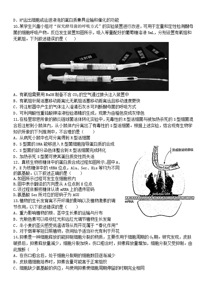 2024温州十校联合体高二上学期期中考试生物含答案03