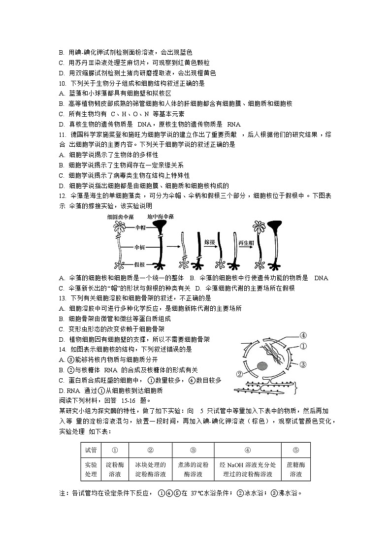 2024温州环大罗山联盟高一上学期期中联考生物试卷含答案02