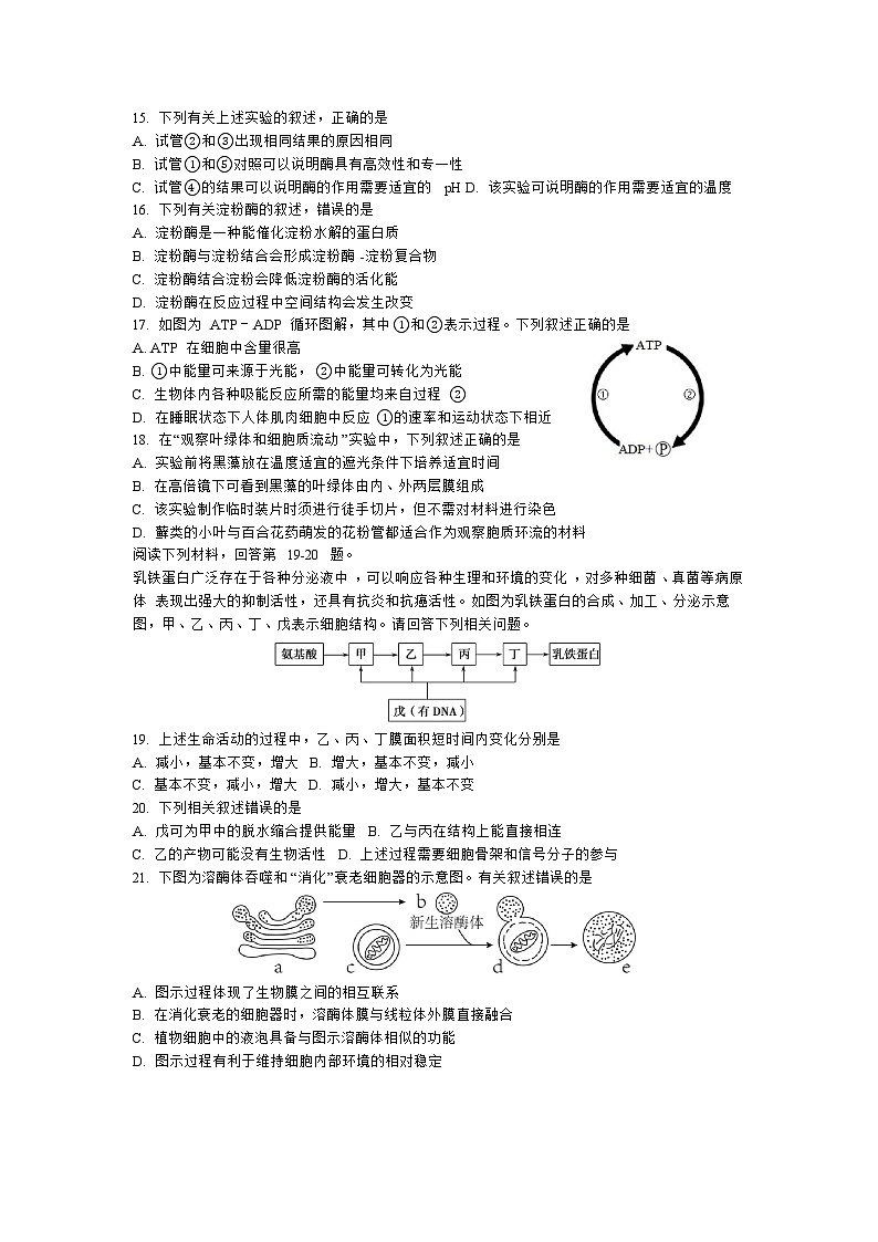 2024温州环大罗山联盟高一上学期期中联考生物试卷含答案03