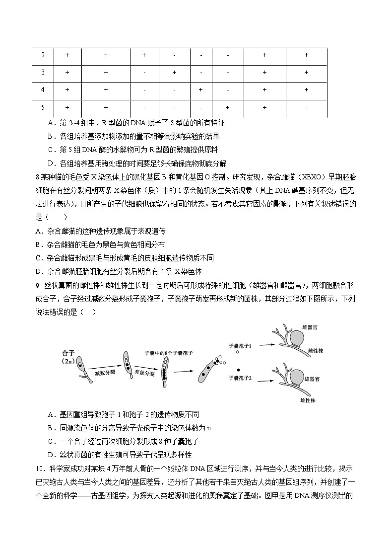 2024年1月浙江省普通高校招生选考科目考试生物学仿真模拟卷01（考试版）第3页