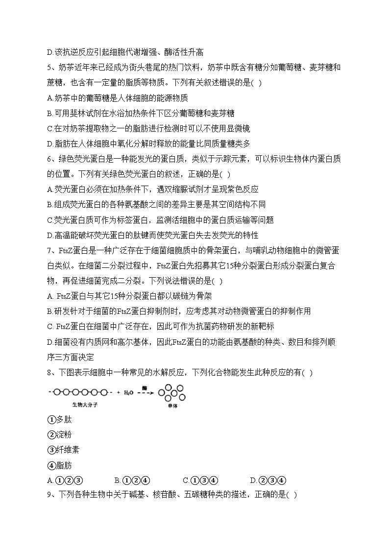 福建省厦门市双十中学2022-2023学年高一上学期期中考试生物试卷（含解析）02