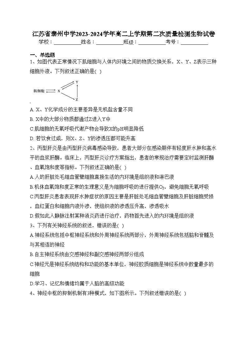 江苏省泰州中学2023-2024学年高二上学期第二次质量检测生物试卷(含答案)01