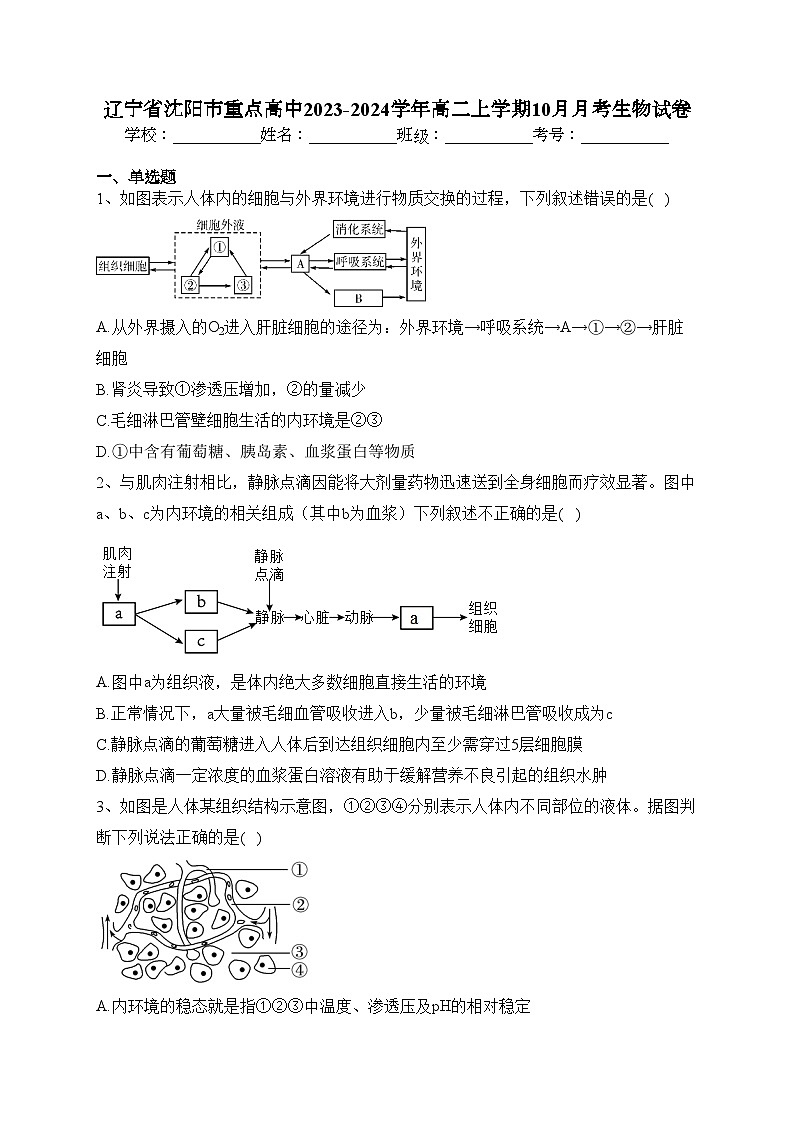 辽宁省沈阳市重点高中2023-2024学年高二上学期10月月考生物试卷(含答案)第1页