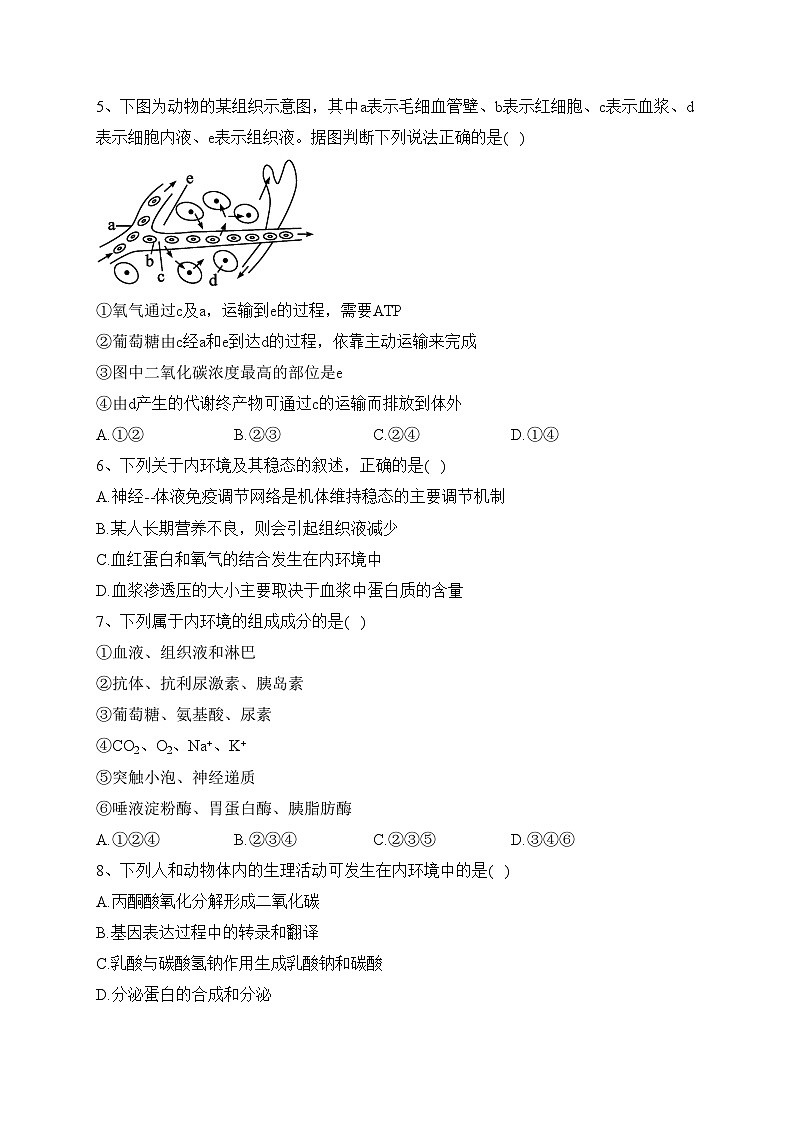 重庆市万州第二高级中学2023-2024学年高二上学期10月质量检测生物试卷(含答案)第2页