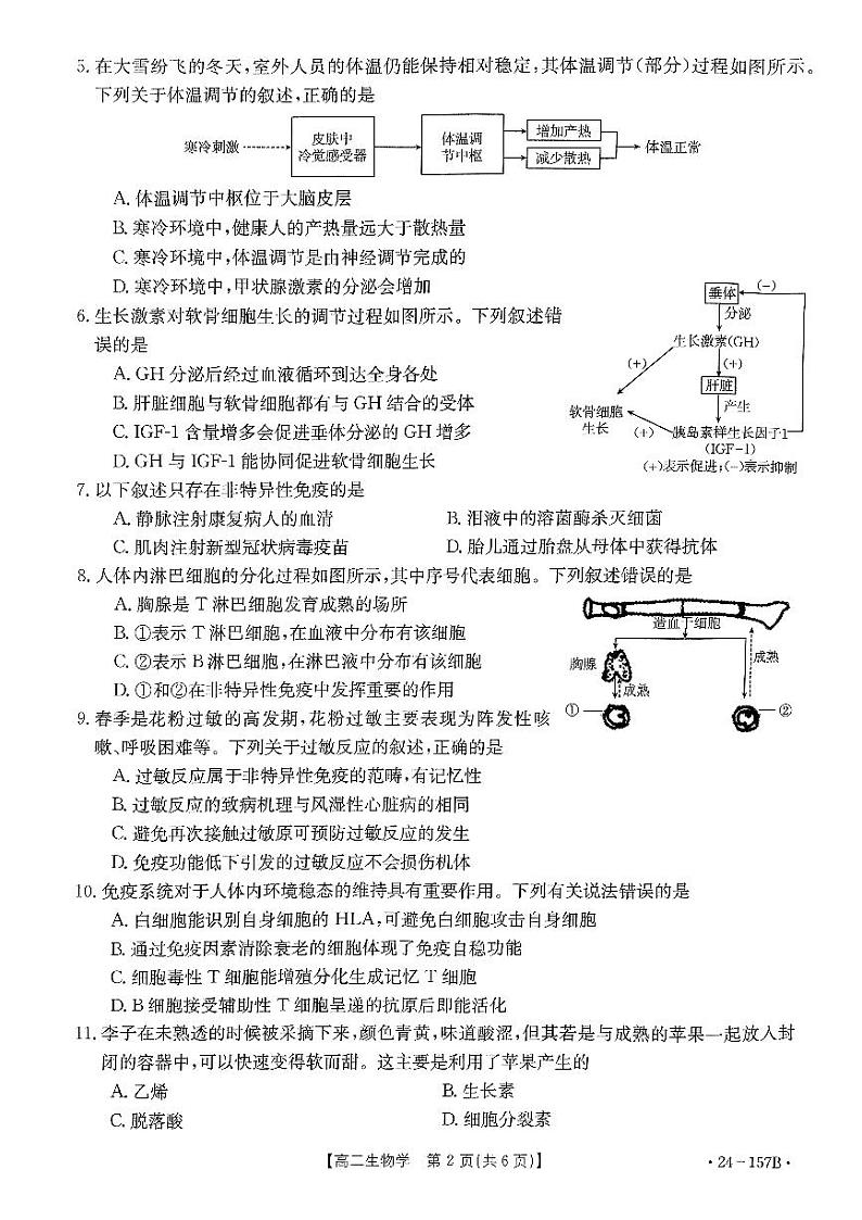 河南省第二高级中学等名校2023-2024学年高二上学期11月期中生物试题第2页