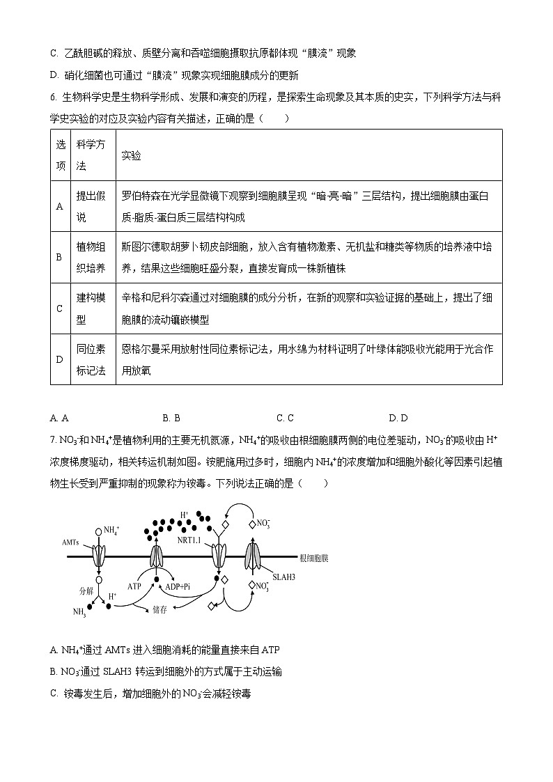 甘肃省兰州市教育局第四片区联考2023-2024学年高三上学期期中生物试题（原卷版）第2页