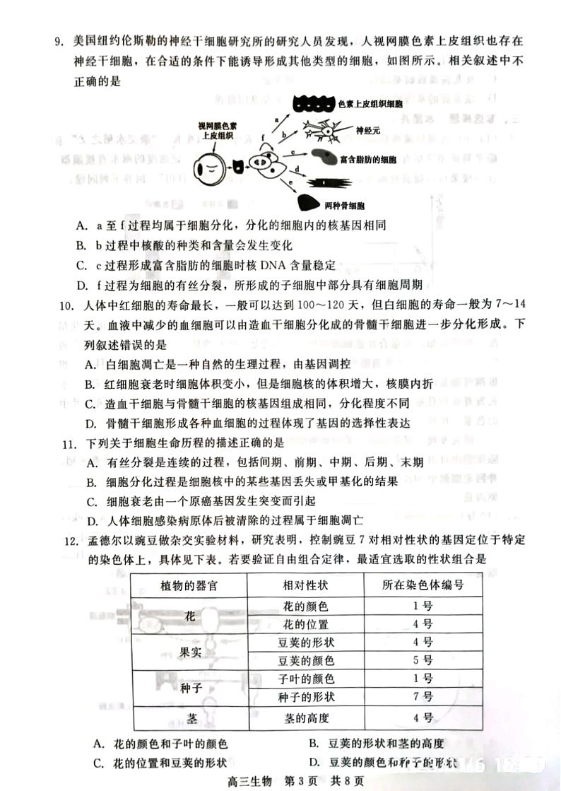 2024张家口张垣联盟高三上学期11月月考试题生物PDF版含解析第3页