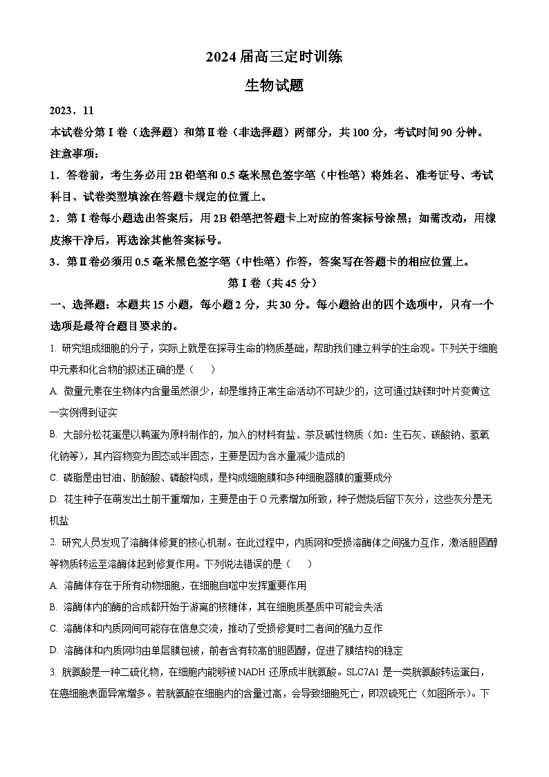 2024滕州高三上学期期中考试生物含解析第1页