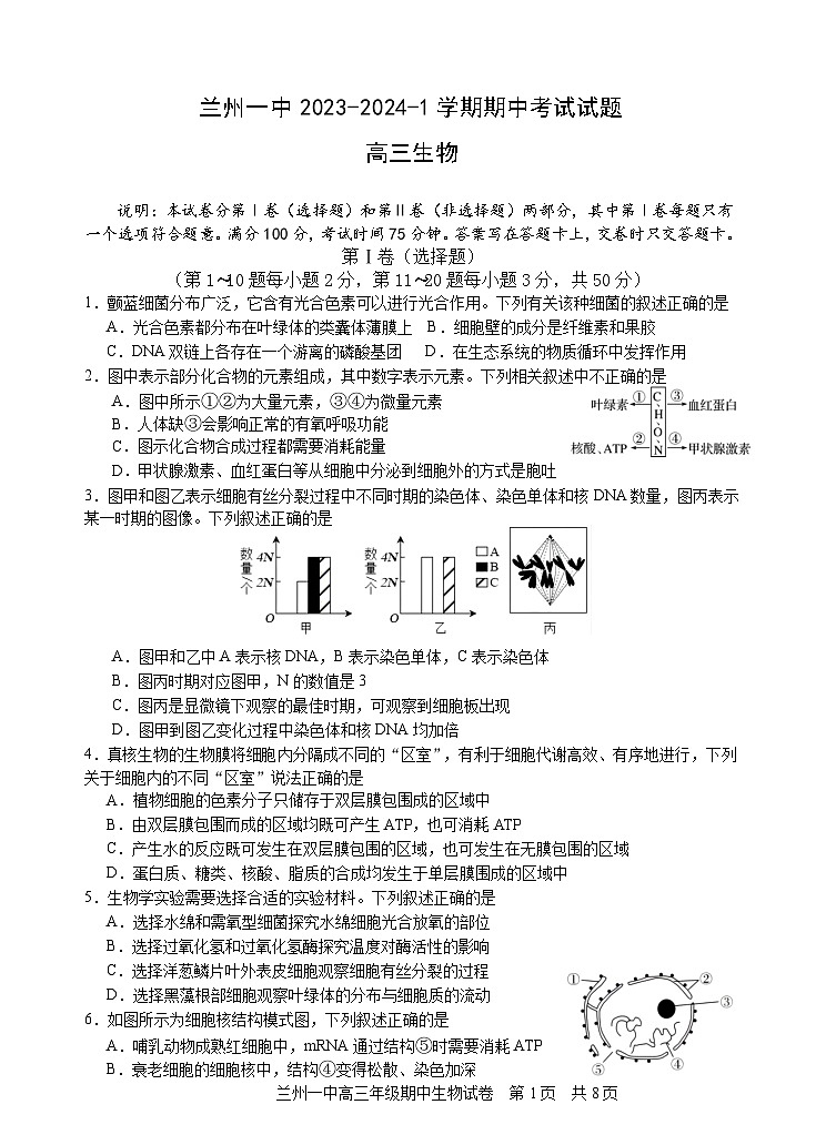 2024兰州一中高三上学期期中考试生物含答案01