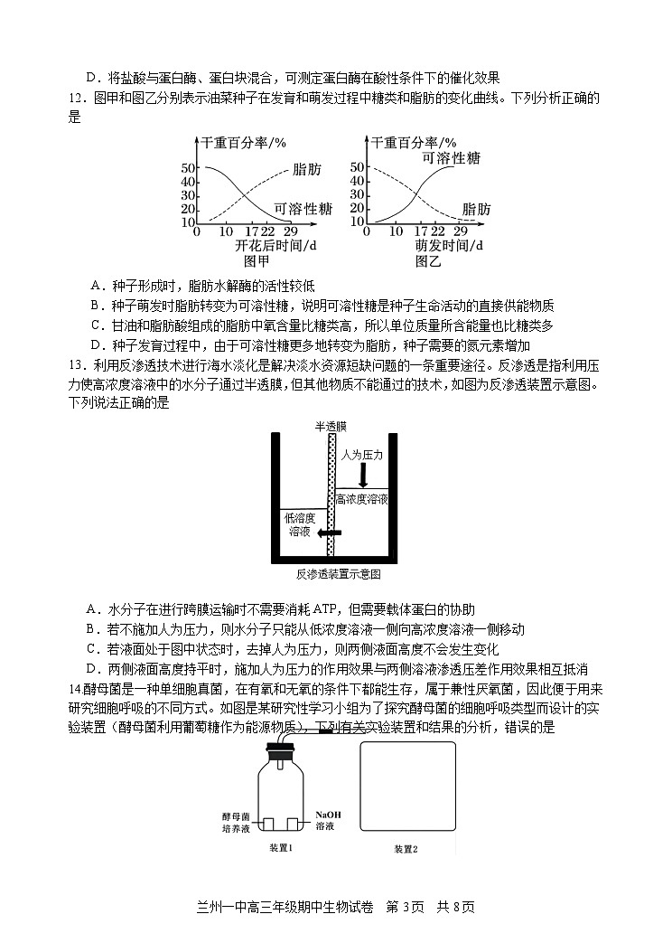 2024兰州一中高三上学期期中考试生物含答案03