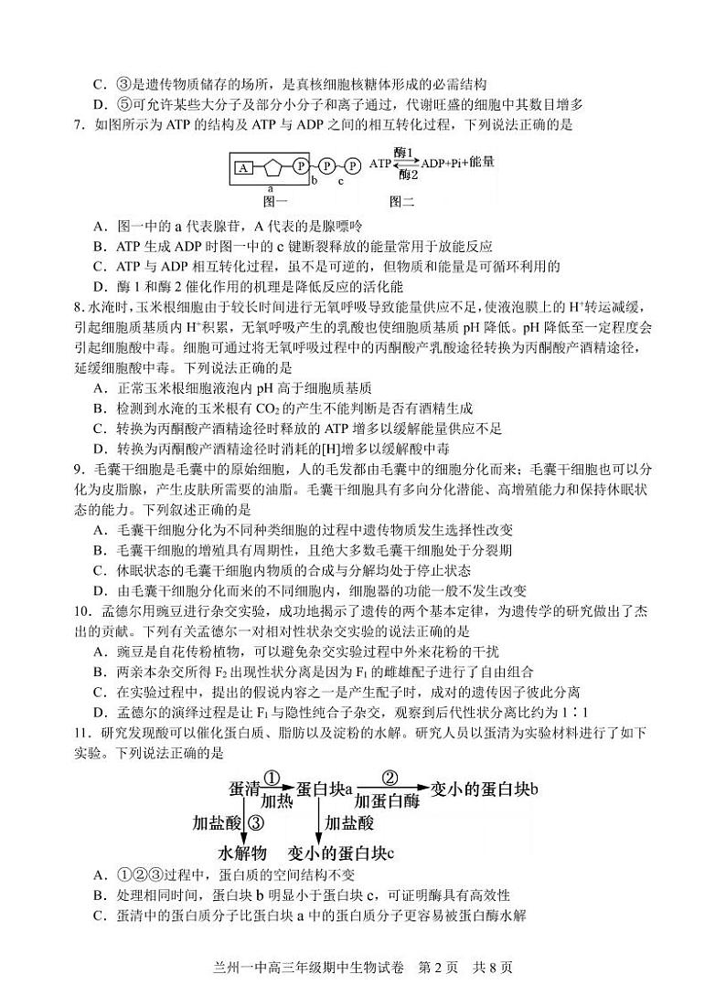 2024兰州一中高三上学期11月期中考试生物PDF版含答案、答题卡02