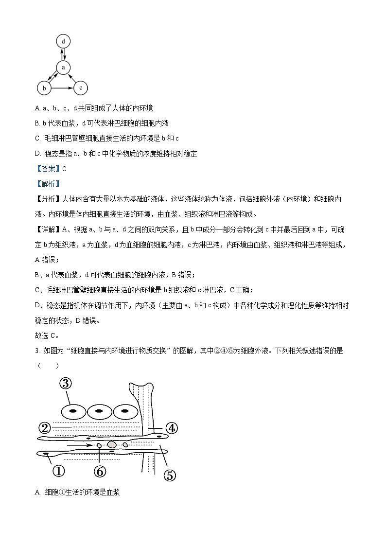 2024武威天祝一中、民勤一中、古浪一中等四校高二上学期期中联考生物试题含解析02