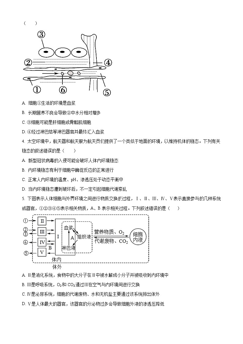 2024武威天祝一中、民勤一中、古浪一中等四校高二上学期期中联考生物试题含解析02