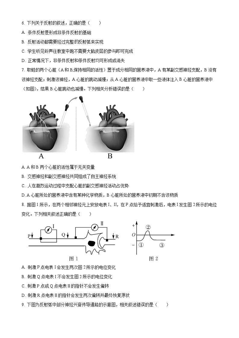 2024武威天祝一中、民勤一中、古浪一中等四校高二上学期期中联考生物试题含解析03