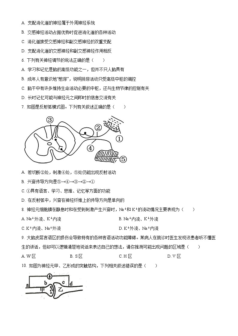 2024兰州教育局第四片区高二上学期期中联考生物试题含解析02