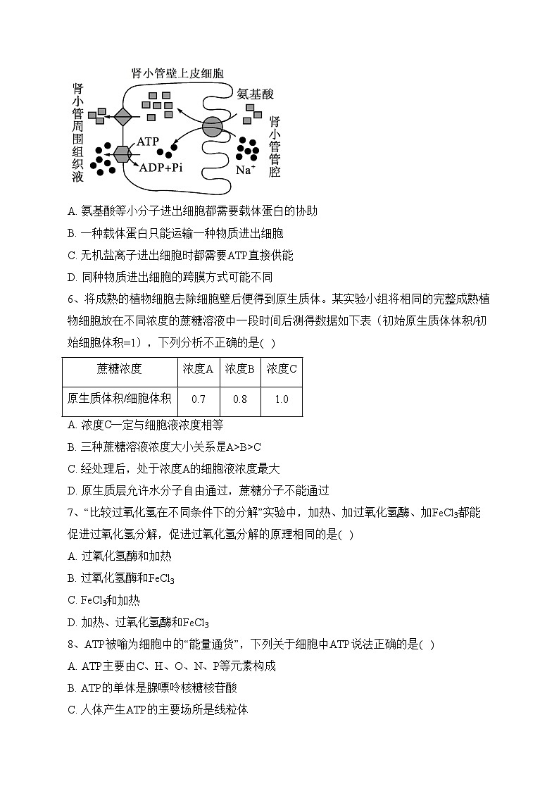 四川省雅安市2024届高三上学期零诊考试生物试卷(含答案)02