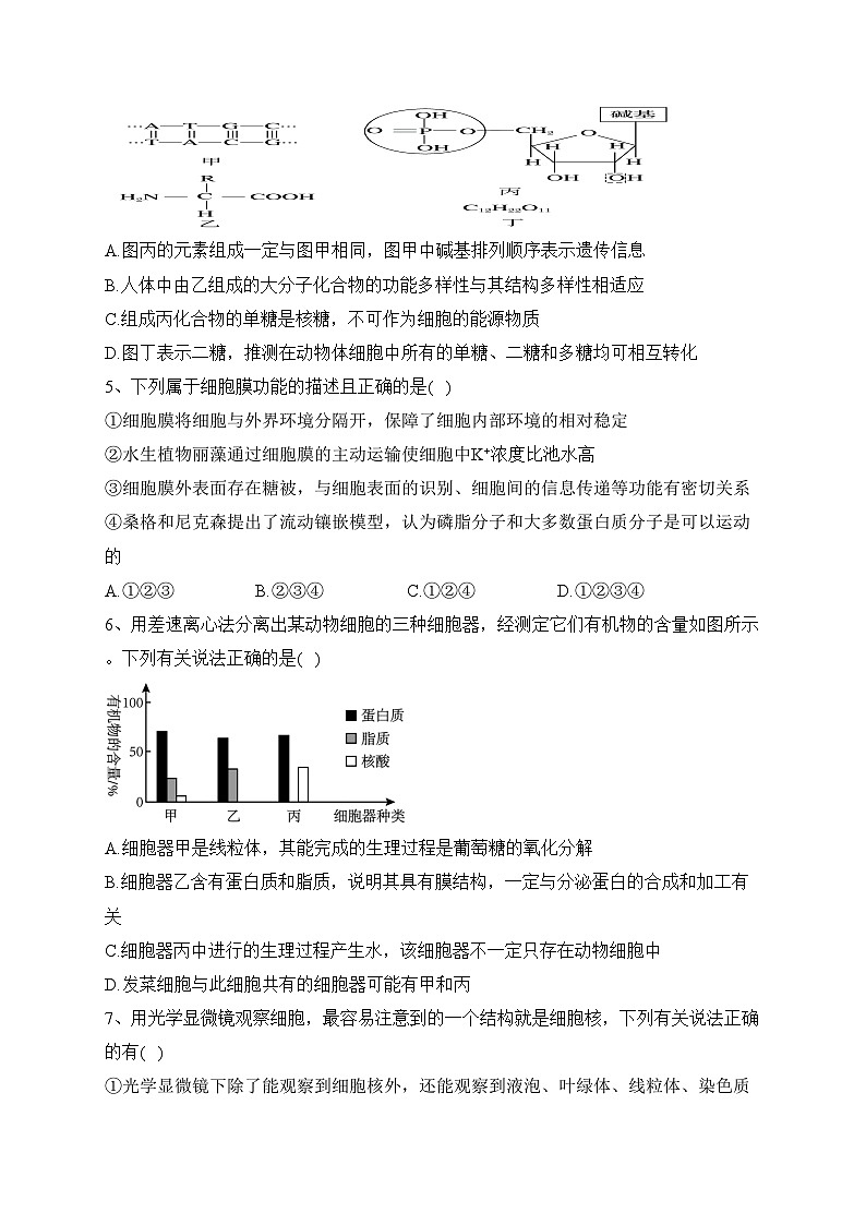 永吉县第四中学2024届高三上学期9月月考生物试卷(含答案)第2页