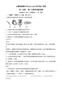 安徽省安庆市桐城中学2023-2024学年高一生物上学期第一次教学质量检测试题（Word版附解析）