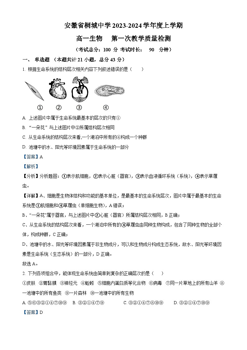 安徽省安庆市桐城中学2023-2024学年高一生物上学期第一次教学质量检测试题（Word版附解析）第1页