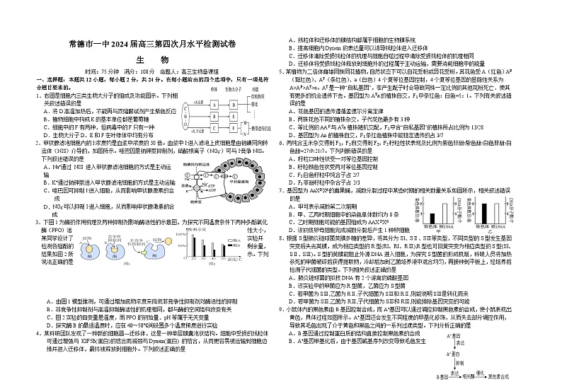 2024常德一中高三上学期第四次月考试题生物含解析01