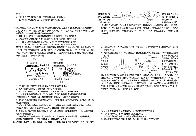 2024常德一中高三上学期第四次月考试题生物含解析02