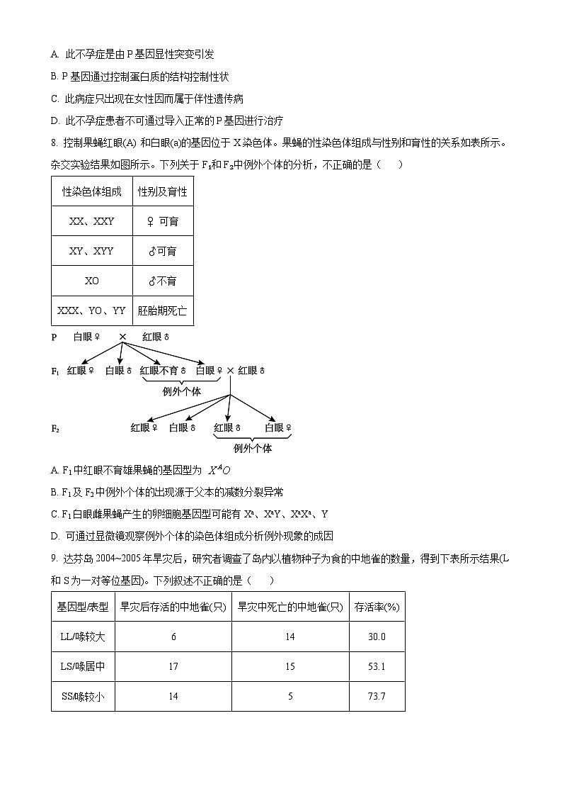 2024北京海淀区高三上学期期中考试生物含解析03