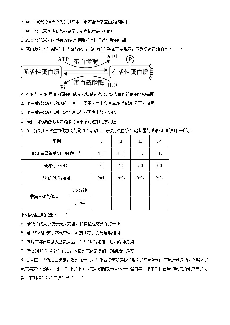 2024省齐齐哈尔普高联谊校高三上学期期中考试生物含答案第2页