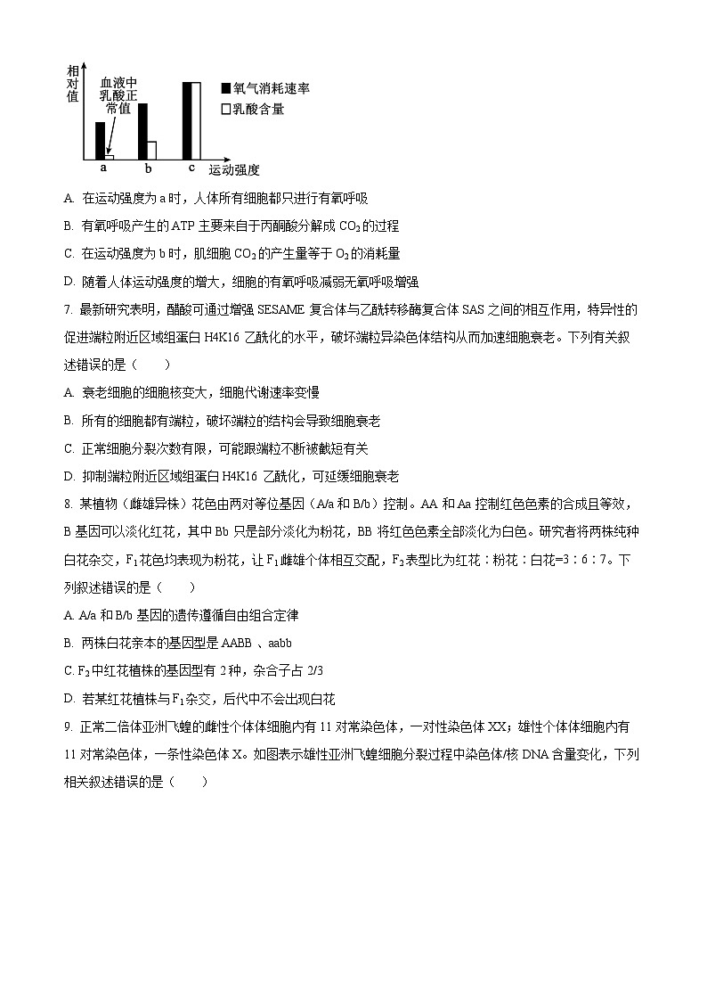 2024省齐齐哈尔普高联谊校高三上学期期中考试生物含答案第3页