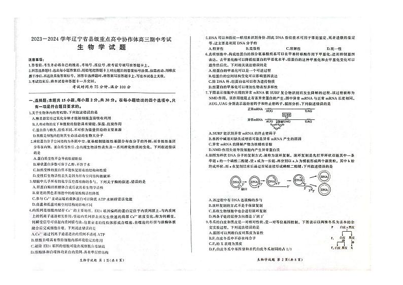 2024辽宁省县级重点高中协作体高三上学期期中考试生物PDF版含答案01