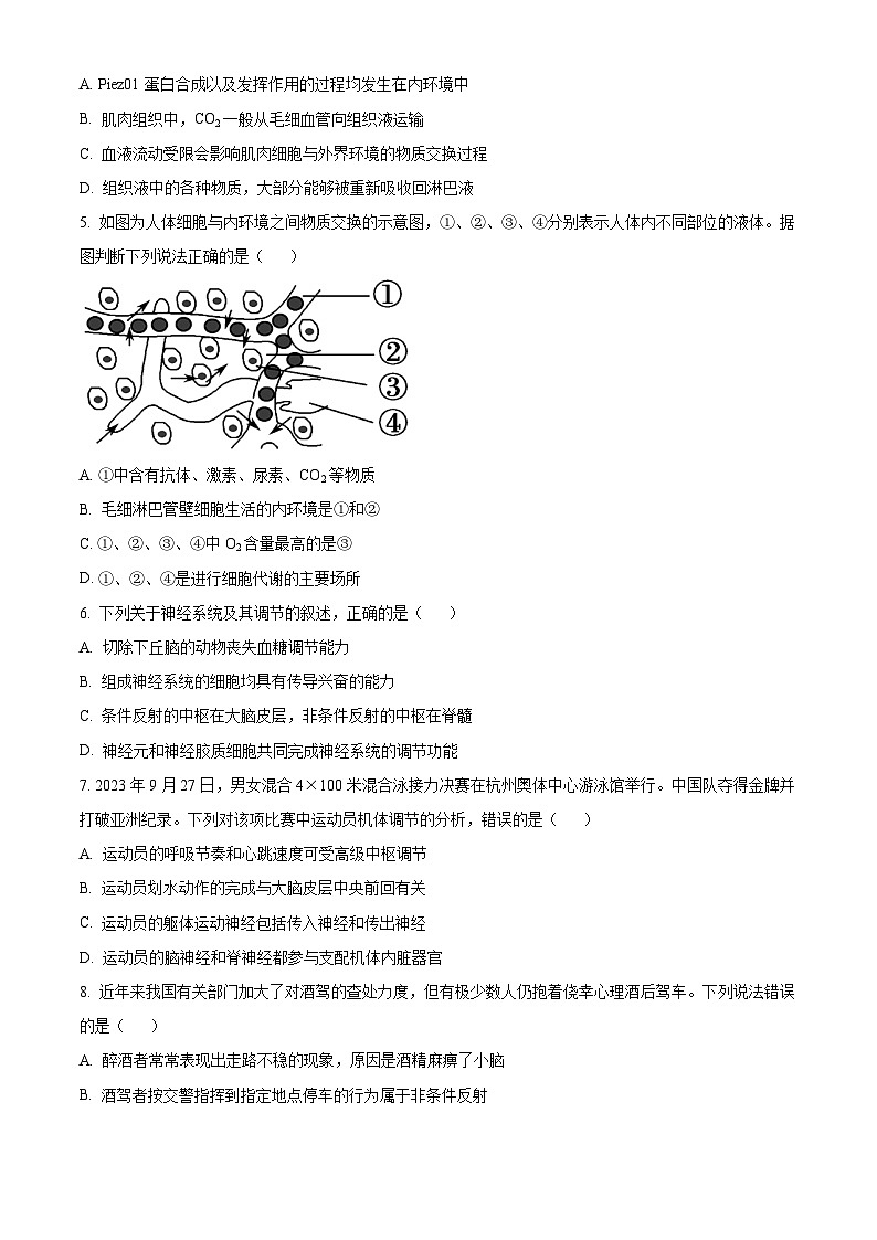 2024长春东北师大附中高二上学期期中考试生物含解析02